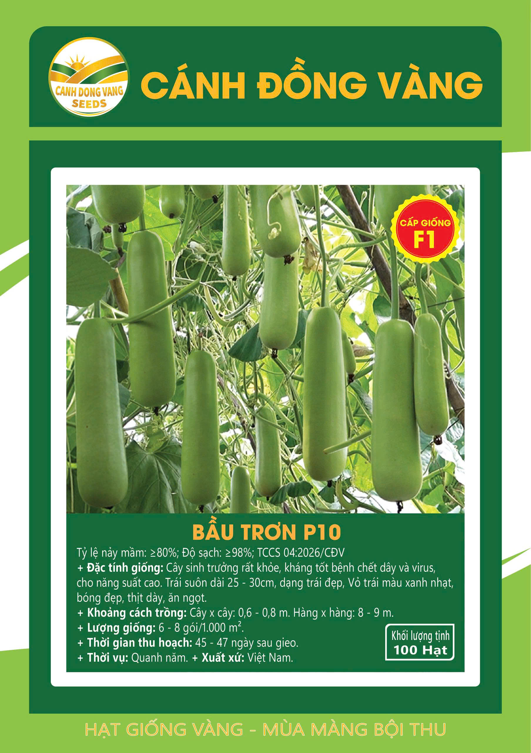BẦU TRƠN P10